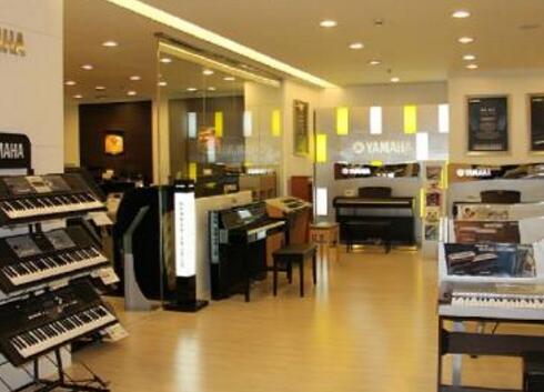 「廣州手風(fēng)琴商標(biāo)注冊(cè)」在廣州申請(qǐng)第十五類(lèi)手風(fēng)琴商標(biāo)注冊(cè)