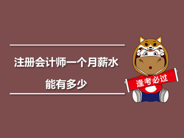 普通會(huì)計(jì)師事務(wù)所待遇